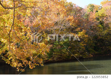 紅葉が湖畔を彩る震生湖 紅葉が湖畔を彩る震生湖 122053852