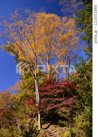 紅葉が湖畔を彩る震生湖 紅葉が湖畔を彩る震生湖 122053860