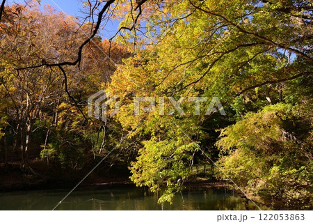 紅葉が湖畔を彩る震生湖 122053863