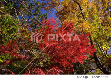 紅葉が湖畔を彩る震生湖 122053866