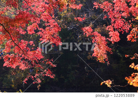 紅葉が湖畔を彩る震生湖 122053889