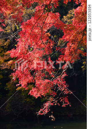 紅葉が湖畔を彩る震生湖 122053894