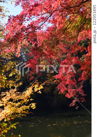 紅葉が湖畔を彩る震生湖 122053895