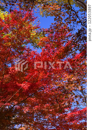 紅葉が湖畔を彩る震生湖 紅葉が湖畔を彩る震生湖 122053897