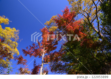 紅葉が湖畔を彩る震生湖 122053899