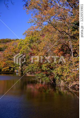 紅葉が湖畔を彩る震生湖 122053901