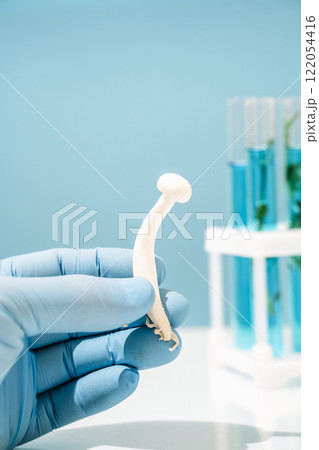 Mushroom in science lab. Biotechnology and medicine concept 122054416