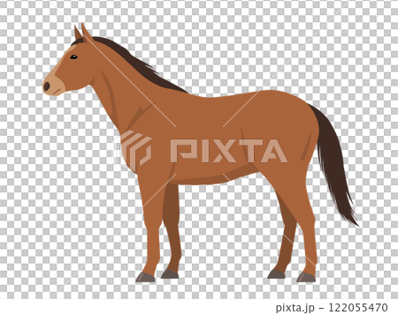 馬向量圖 122055470