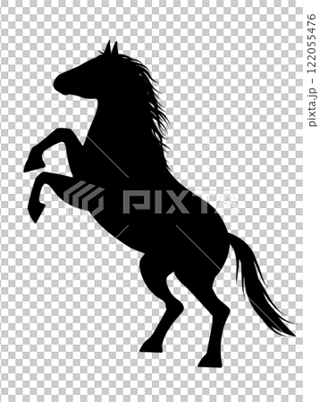Prancing horse silhouette_vector illustration Prancing horse silhouette_vector illustration 122055476