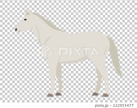 白い馬のベクターイラスト 122055477