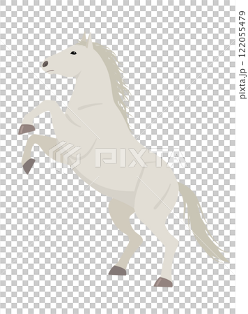白い跳ね馬のベクターイラスト 122055479