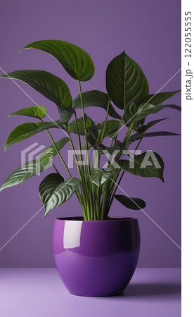 Vibrant Indoor Plant in Purple Pot Against a Minimalistic Purple Wall 122055555