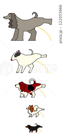 おしっこする犬（カラー）　ダックスフンド／パピヨン／バセット・ハウンド／ブル・テリア／アフガン・ハウ 122055666