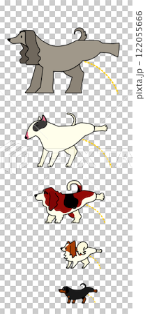 おしっこする犬（カラー）　ダックスフンド／パピヨン／バセット・ハウンド／ブル・テリア／アフガン・ハウ 122055666