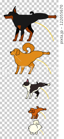 Peeing dogs (color) Pomeranian / Toy Poodle / Boston Terrier / Golden Retriever / Doberman 122055670