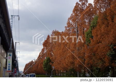 岡山県中区　高島駅前の紅葉 122055691