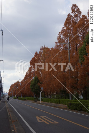 岡山県中区　高島駅前の紅葉 122055692