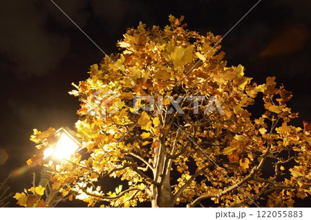 倉敷みらい公園の夜景　イルミネーション 122055883