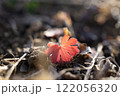 冬 122056320