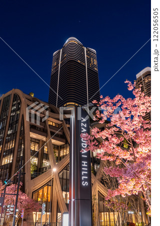 《東京都》麻布台ヒルズの夜景と河津桜 122056505