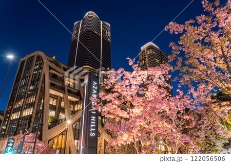 《東京都》麻布台ヒルズの夜景と河津桜 《東京都》麻布台ヒルズの夜景と河津桜 122056506