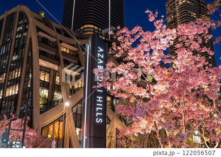 《東京都》麻布台ヒルズの夜景と河津桜 122056507