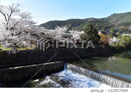 桜咲く、嵐山公園、桂川と桜のある風景 桜咲く、嵐山公園、桂川と桜のある風景 122057099