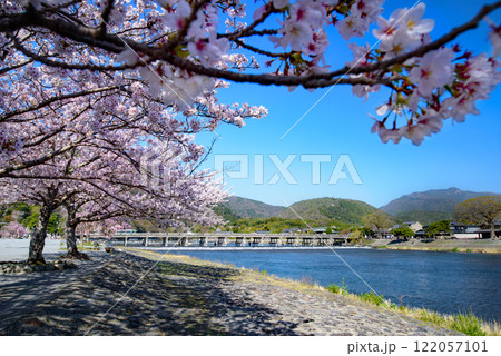 桜咲く、嵐山公園、渡月橋と桜のある風景 桜咲く、嵐山公園、渡月橋と桜のある風景 122057101