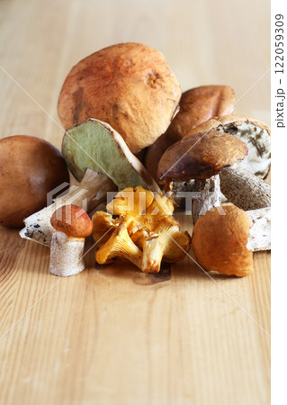 Mushrooms On Wood 122059309