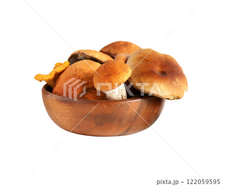 Mushrooms In Bowl Mushrooms In Bowl 122059595
