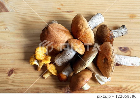 Mushrooms On Wood 122059596