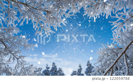 冬のファンタジー:輝く雪景色と星空の美しさ 冬のファンタジー:輝く雪景色と星空の美しさ 122059788