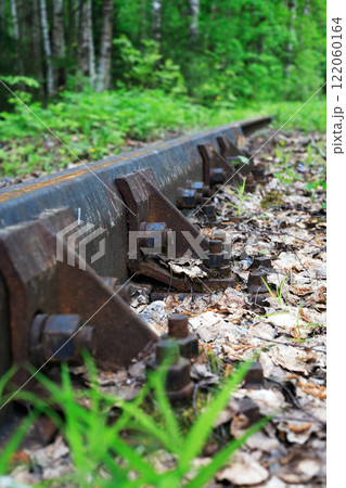 Old Railway In Forest 122060164