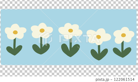 白色のかわいい花々 白色のかわいい花々 122061514