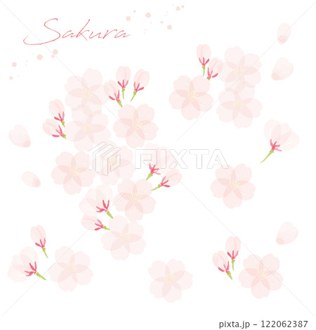 桜の手書き水彩画イラスト 桜の手書き水彩画イラスト 122062387