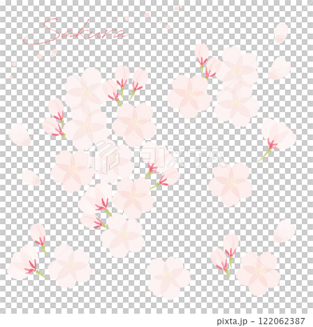 桜の手書き水彩画イラスト 桜の手書き水彩画イラスト 122062387