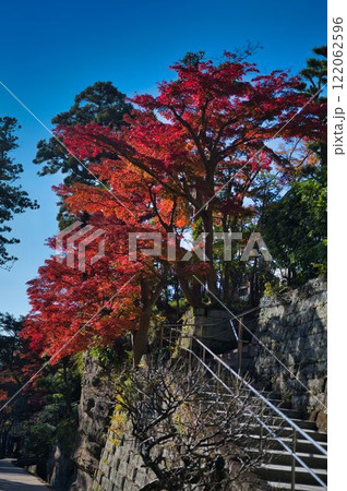 紅葉に染まる階段 紅葉に染まる階段 122062596