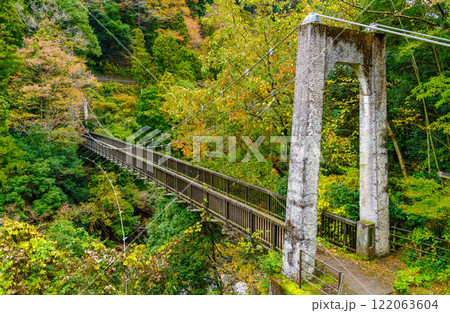 Pedestrian Suspension Bridge 122063604