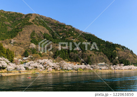【滋賀県】桜クルーズから見た海津大崎の桜 122063850