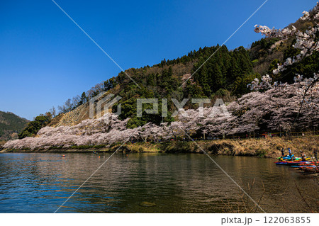 【滋賀県】海津大崎 びわ湖と満開の桜 122063855