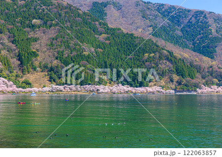 【滋賀県】海津大崎 びわ湖と満開の桜 122063857