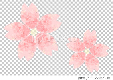 手描き風の淡いピンクの桜の花 122063946