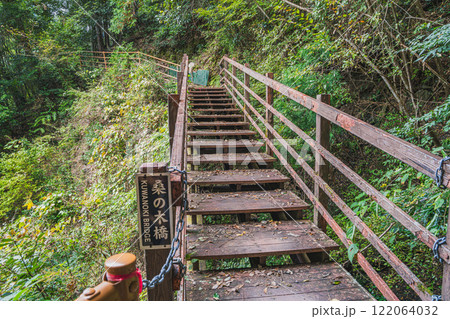 川根本町の秋の長島公園近くにある新緑の中の桑の木橋を歩く風景(静岡県) 122064032