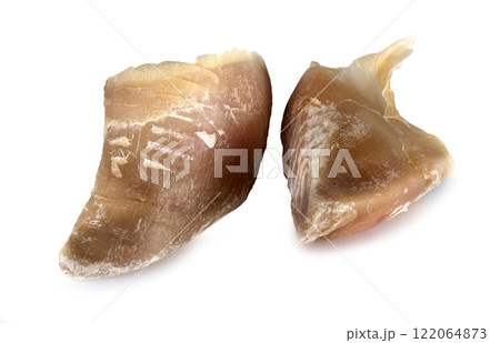 gnawing food for dog 122064873