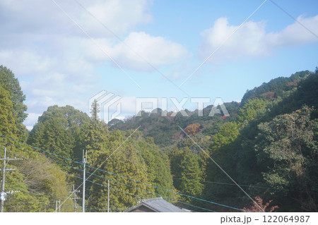 三股郷の自然 122064987