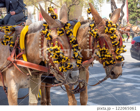Elegant Horses Adorned for Seville April Fair Celebration 122065061