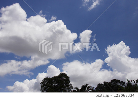 サンパウロ近郊の夏の入道雲と青空　ブラジル 122065334
