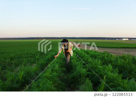 Woman harvesting fresh carrot from vegetable garden. Homegrown produce and organic gardening. result of his work in field 122065513