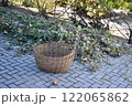 Autumn work in gardening, pruning and crushing branches, wood, in a shredder and mulcher 122065862