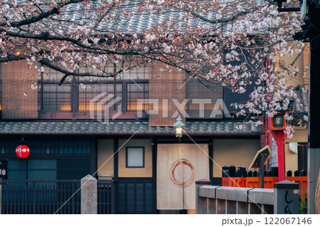 古都の春の京都市東山祇園白川の桜を撮影 古都の春の京都市東山祇園白川の桜を撮影 122067146